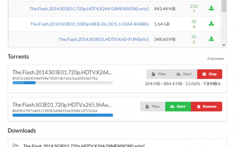 [转载]支持 离线下载 BT和磁力链接 的老司机坐骑 —— Cloud Torrent