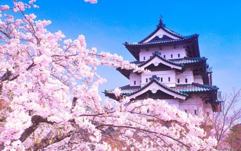 主流日本VPS介绍2.0